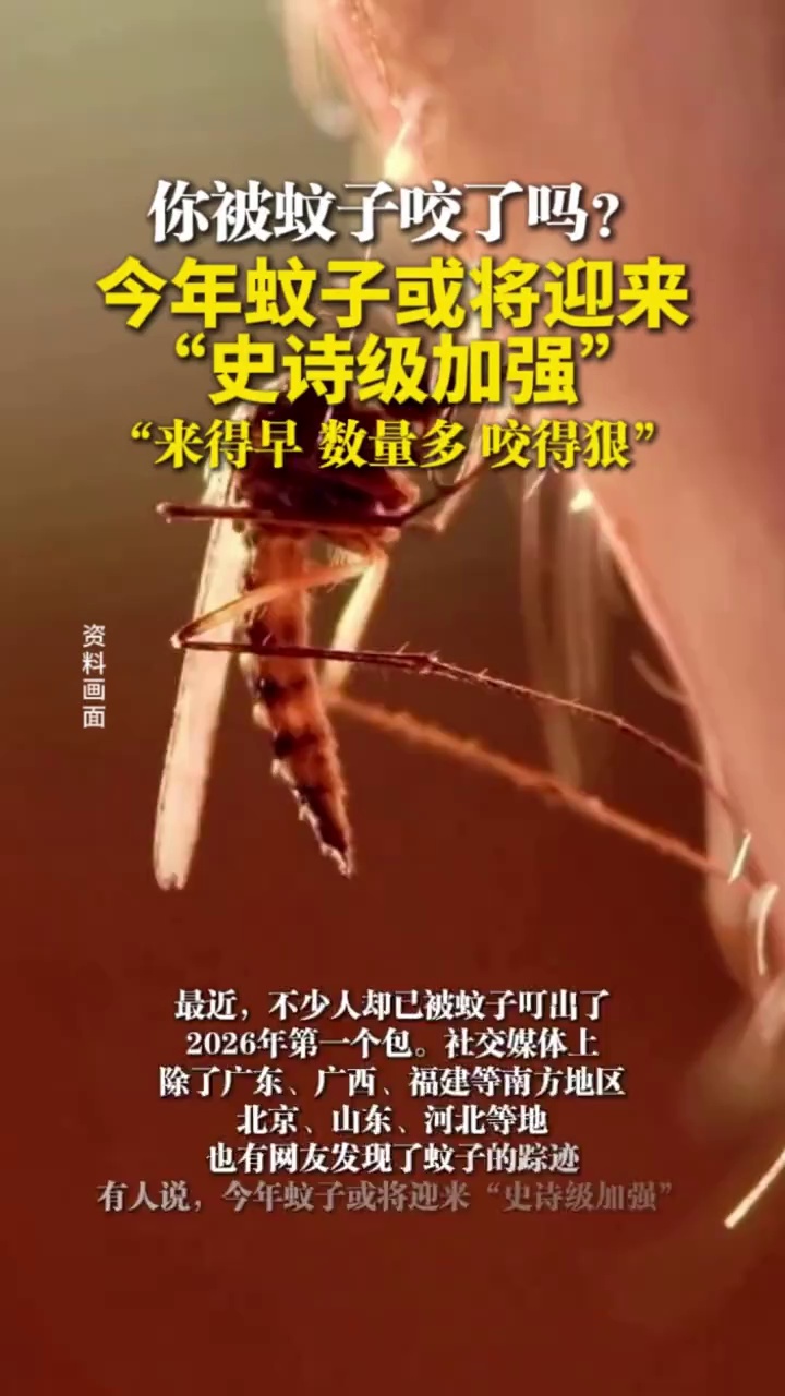 你被蚊子咬了吗？ 今年蚊子或将迎来“史诗级加强”