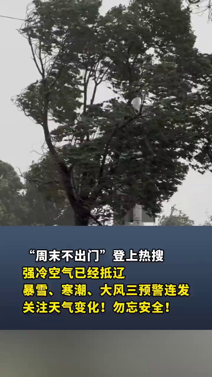 “周末不出门”登上热搜！强冷空气已经抵辽，暴雪、寒潮、大风三预警连发
