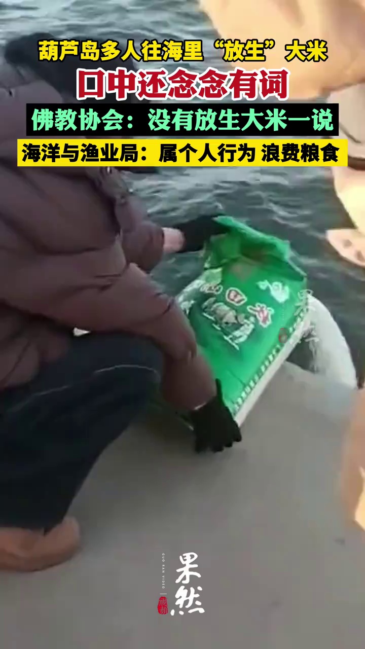 葫芦岛多人往海里“放生”大米 当地回应