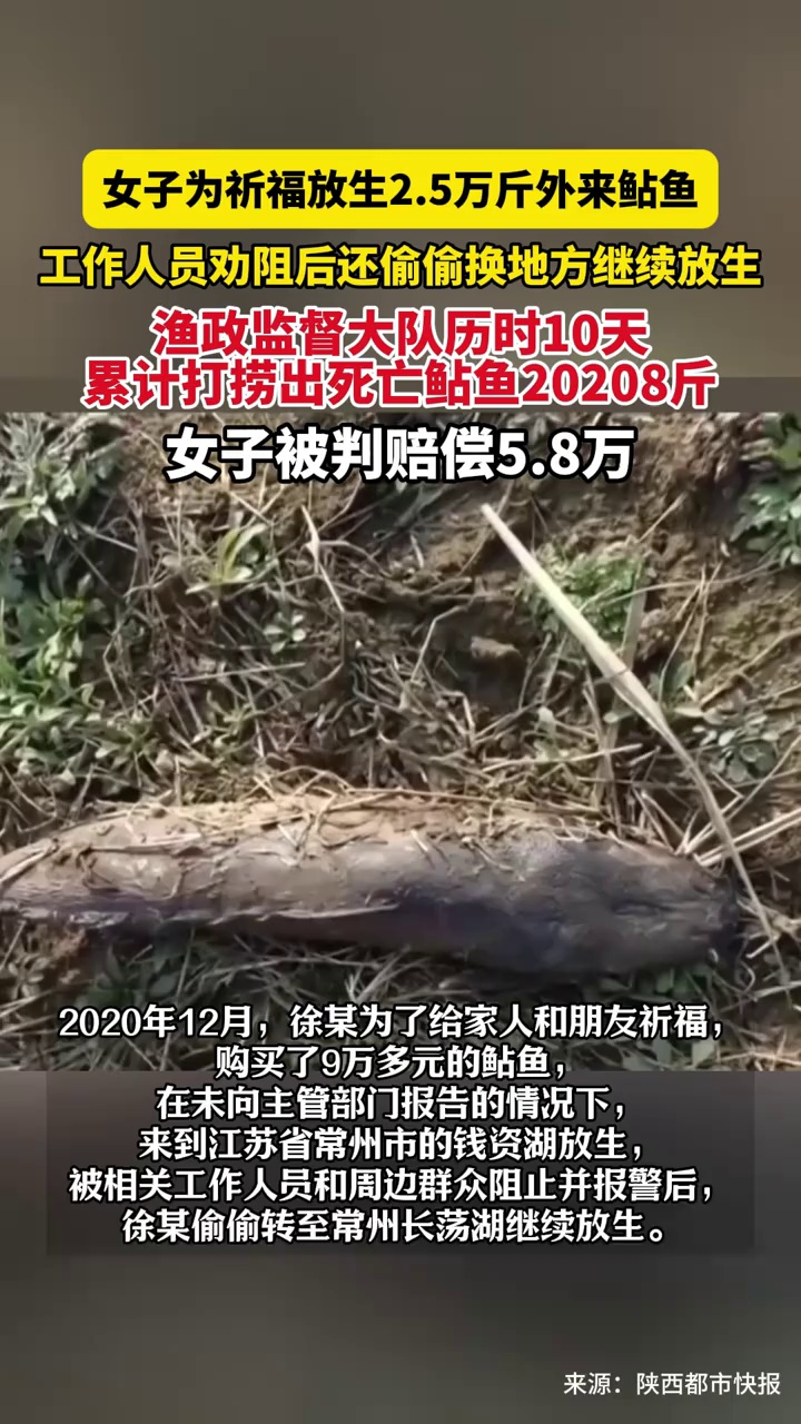 女子为祈福放生2.5万斤外来鲇鱼，渔政监督大队历时10天打捞出死亡鲇鱼2万斤