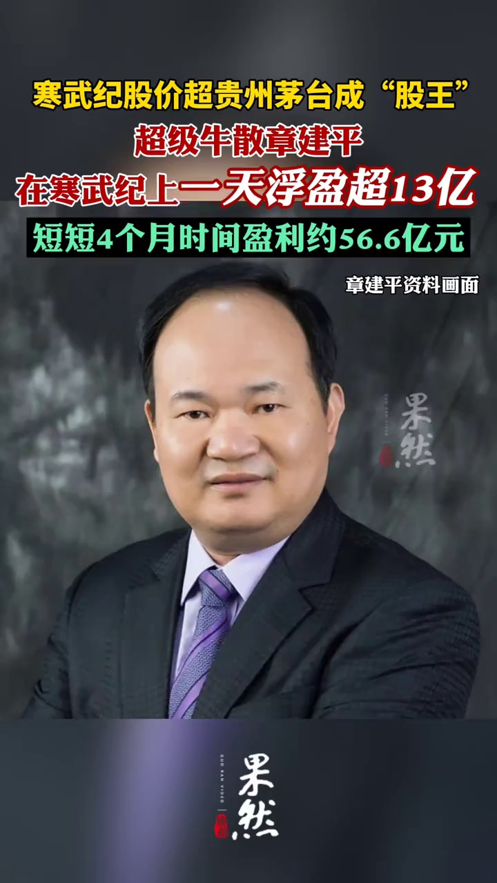 超级牛散章建平在寒武纪上一天浮盈超13亿（每日经济新闻）