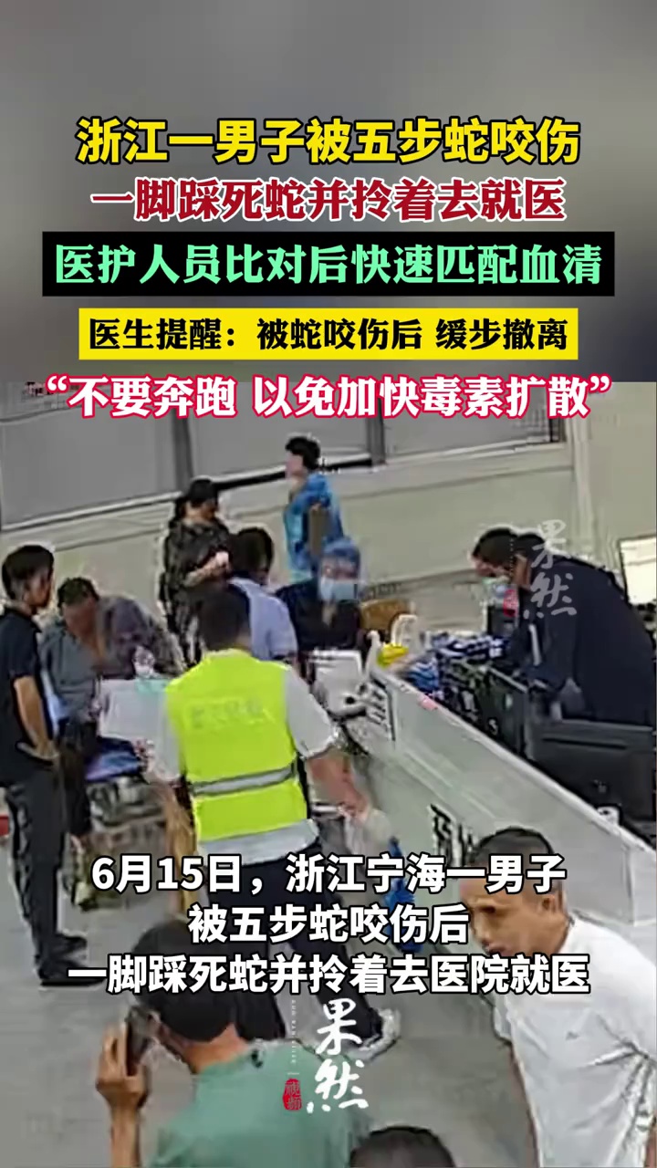 浙江男子被五步蛇咬后拎蛇就医（顶端新闻）