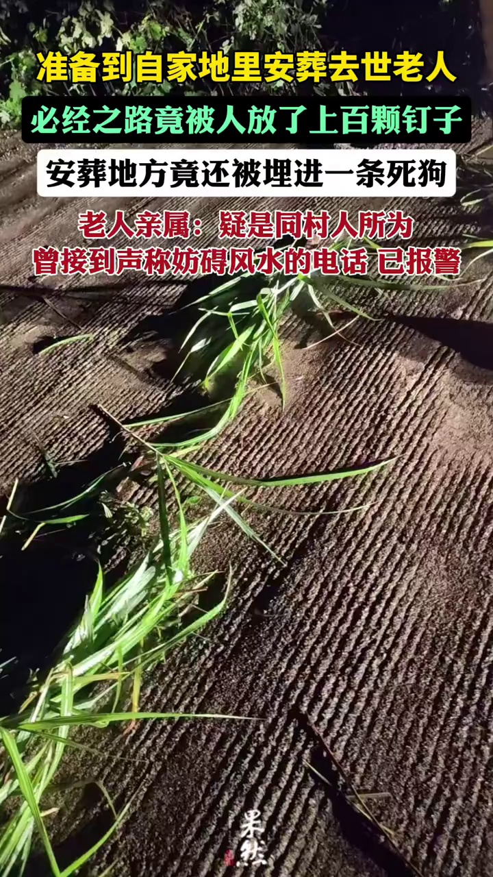曾接到村里人打的电话，说安葬地影响了他家风水。（封面新闻）