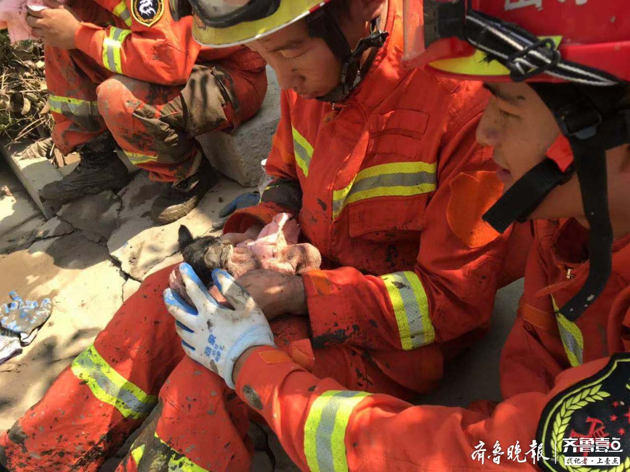 超有爱硬汉也柔情淄博消防员从淤泥中救出小猫咪