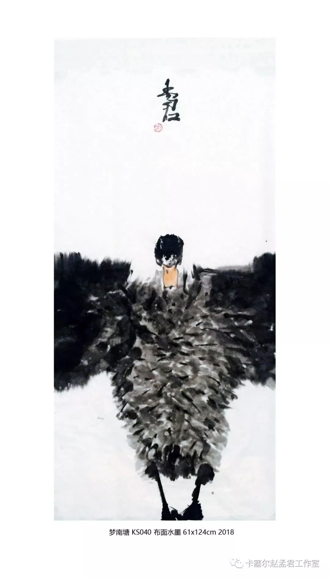 赵孟君回国作品展——梦南塘系列(图录)