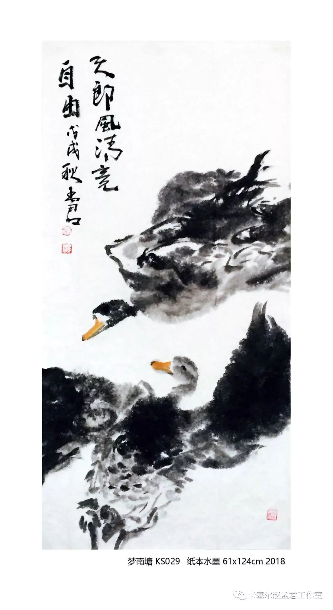 赵孟君回国作品展——梦南塘系列(图录)