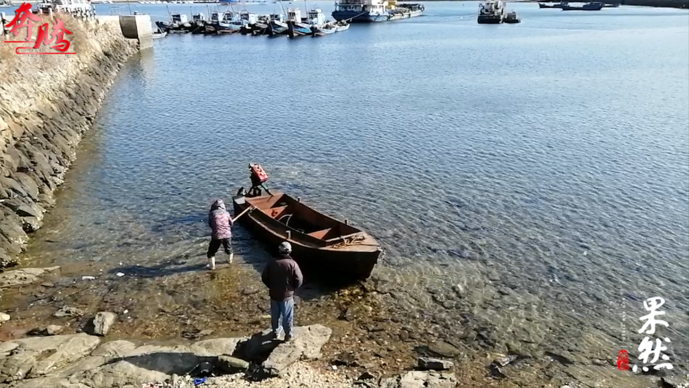 奔腾视频|獐子岛扇贝“花样受灾”背后，公司经营情况不容乐观