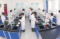 职教发展的一声春雷！山东在全国率先整省推进“职教高地”建设