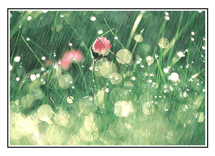 440_320gif 动态图 动图