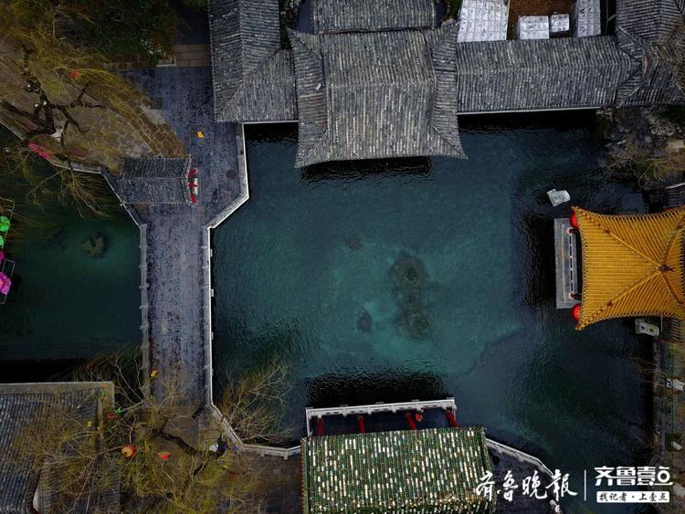春雨中的趵突泉航拍，玉兰垂柳美爆待人赏