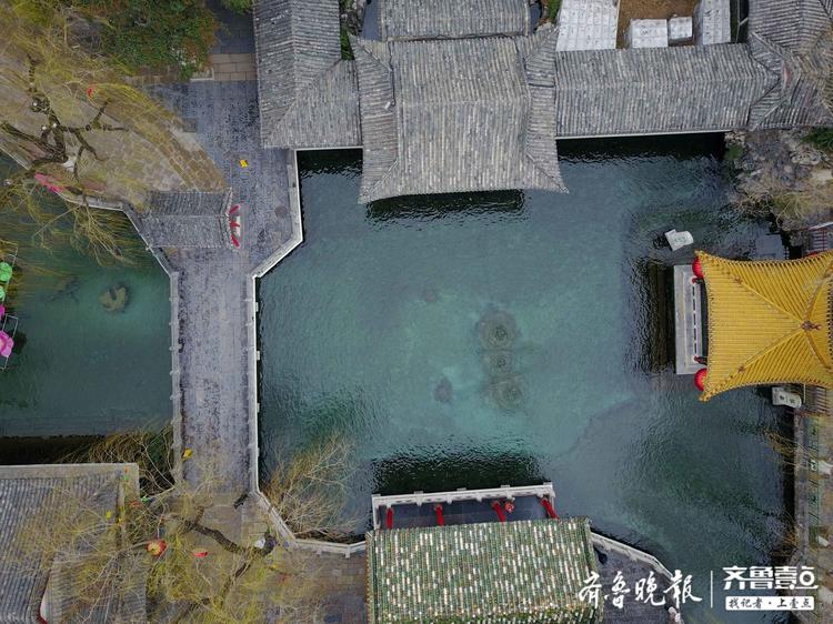 春雨中的趵突泉航拍，玉兰垂柳美爆待人赏