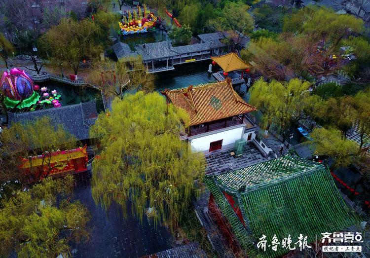 春雨中的趵突泉航拍，玉兰垂柳美爆待人赏