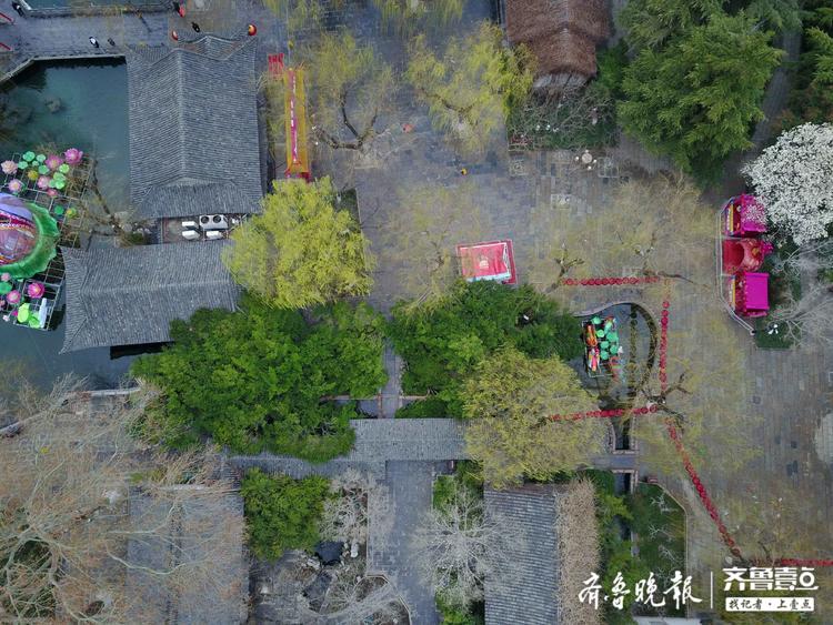 春雨中的趵突泉航拍，玉兰垂柳美爆待人赏