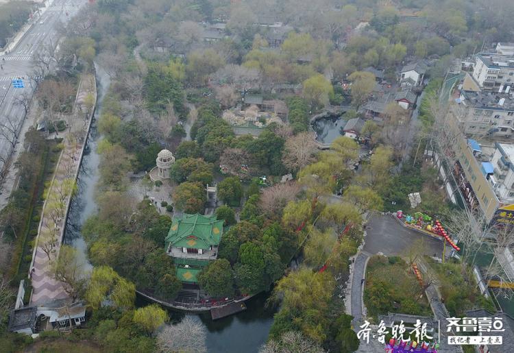 春雨中的趵突泉航拍，玉兰垂柳美爆待人赏