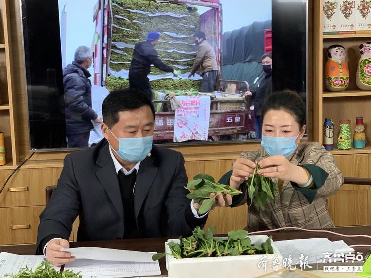 惠民县麻店镇党委书记丁安玉:菠菜搭上直播快车销往香港