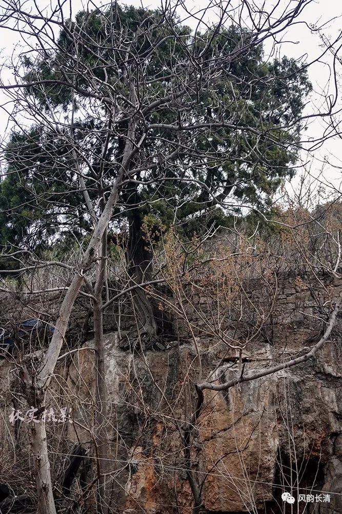 长清古御道(九)——大崮山