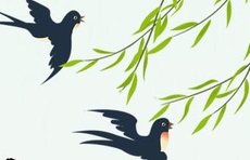 长图｜铭记党史 缅怀先烈 中