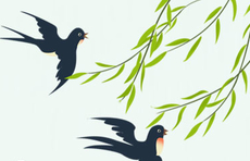 长图｜铭记党史 缅怀先烈 下