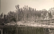 铭记党史 缅怀先烈22丨洪振海：铁道游击队首任队长