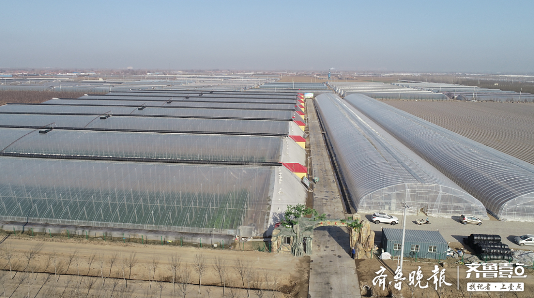 大王镇党委书记张子柱全面开创新时代大王高质量发展新局面