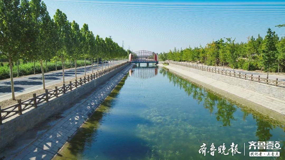 大王镇党委书记张子柱全面开创新时代大王高质量发展新局面