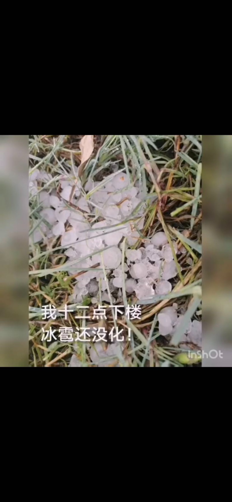 威海多地遭遇冰雹袭击 最大颗粒如"鸟蛋" 强对流天气或持续