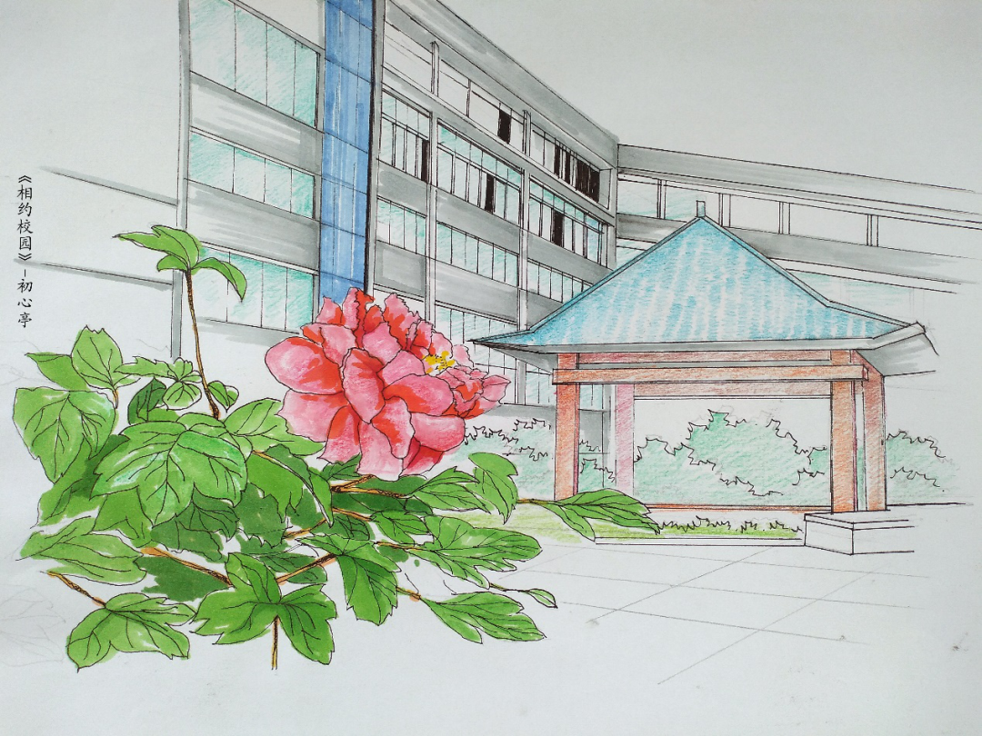 5.20,等你,相约枣职校园