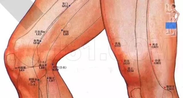 肝经在左腿还是右腿图片