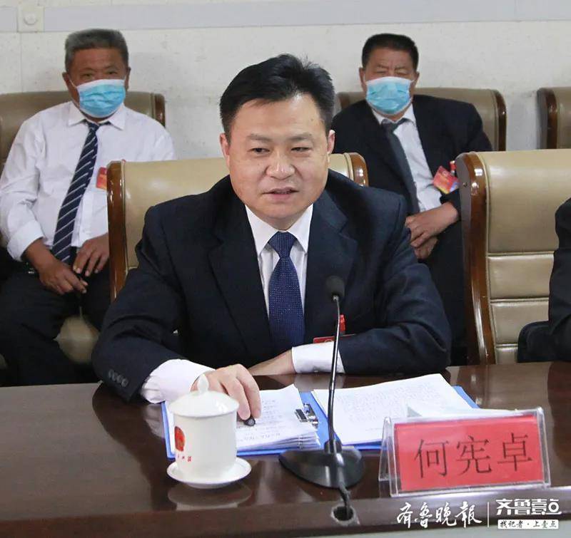临清市委书记何宪卓参加新华代表团审议