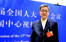 专访参与民法典编纂专家学者：民法典体系庞大，地位仅次于宪法