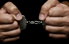 最高检报告：检察机关起诉“保护伞”同比上升295.7%