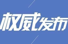  山东代表团进行分组审议
