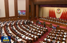 全国政协十三届三次会议举行视频会议，12位委员作大会发言