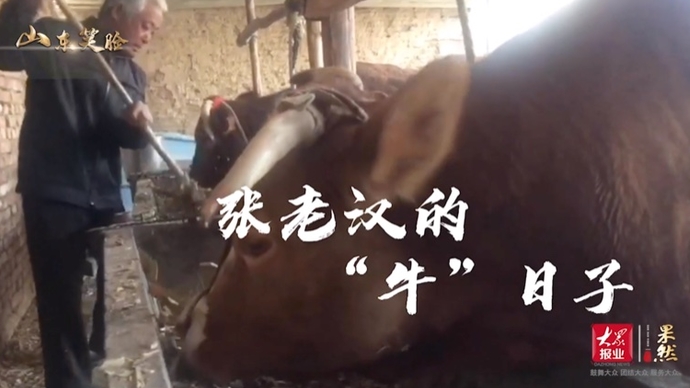 果然视频·决胜2020|张老汉的“牛”日子