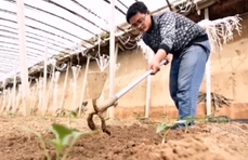 大众“会”谈⑥|寿光、兰陵、莘县……且看走南闯北一车菜