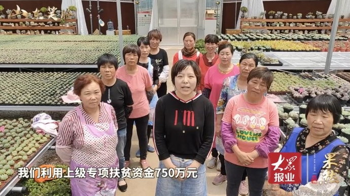 果然视频·决胜2020 | 600亩花卉基地助增收