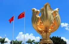 港区全国政协委员陈清霞：香港再出发，未来会更好