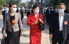 全国政协委员栾新：推动公权力透明运行，打造24小时不打烊政府