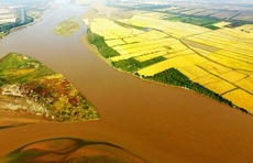 如何推进黄河流域生态保护和高质量发展？代表委员共谋良策