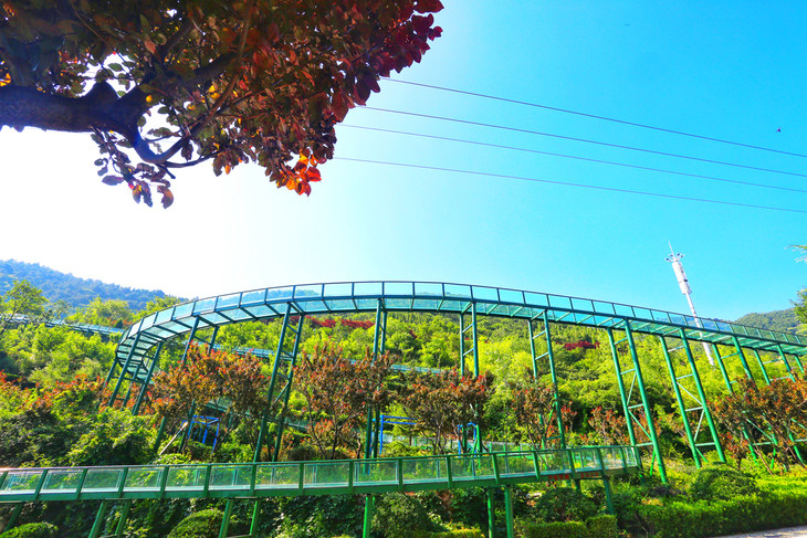趵突之源,泉水之巅,山东最长玻璃滑道尽在—-水帘峡风景区
