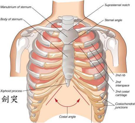 因为心脏本身是没有感觉的,所谓的心痛,其实是由于支配心脏的神经将