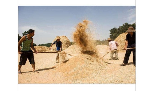 科技解放生产力一摁电钮就上去不出大力不流汗轻轻松松把钱赚胡建平摄