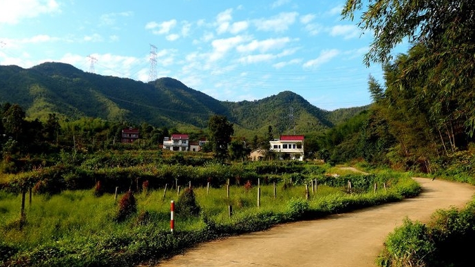 五莲房家沟一个原生态的小山村水恋百合