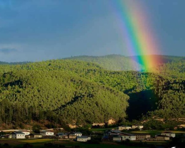 7月14日，文旅部办公厅印发《关于推进旅游企业扩大复工复业有关事项的通知》，指出恢复跨省（区、市）团队旅游。