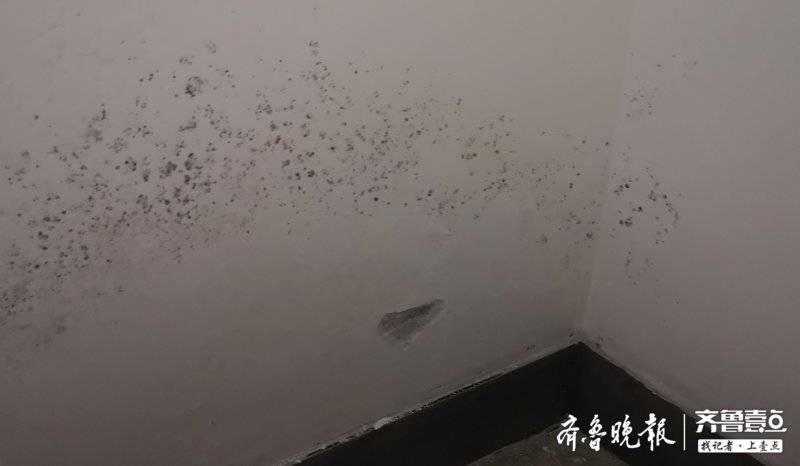 济南绿地香树花城交房半年多，17个验房问题还没解决