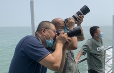 年中粉丝节|海鸥我们又来了！摄影大咖们长枪短炮齐上阵