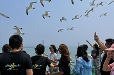 集结完毕，向大钦岛出发！粉丝大咖被海景折服