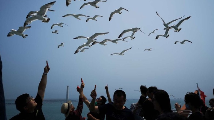 果然视频|太欢乐！齐鲁壹点年中粉丝节的壹粉们和海鸥互动