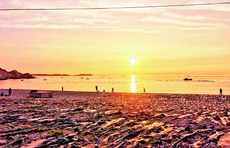 观日出赏日落，齐鲁壹点举办年中粉丝节暨大钦岛乡海带文化节