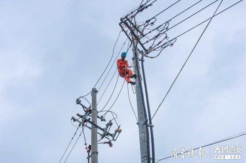 暴雨泡倒30年大樹砸向高壓線供電員工搶修到下午才吃上早飯